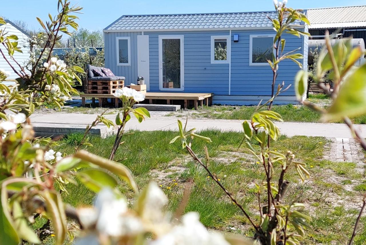Chalet Elstar Hengstdijk Exterior foto