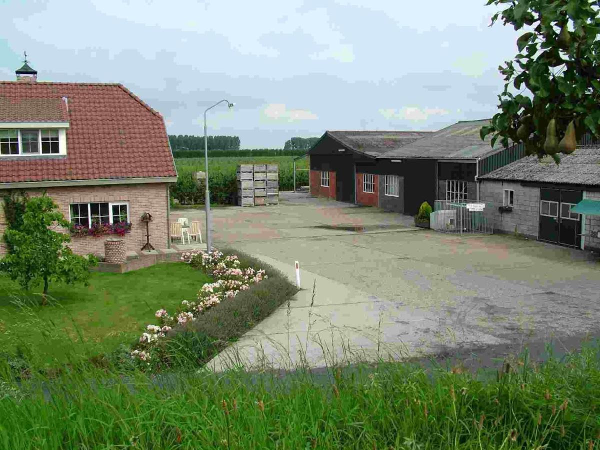 Chalet Elstar Hengstdijk Exterior foto